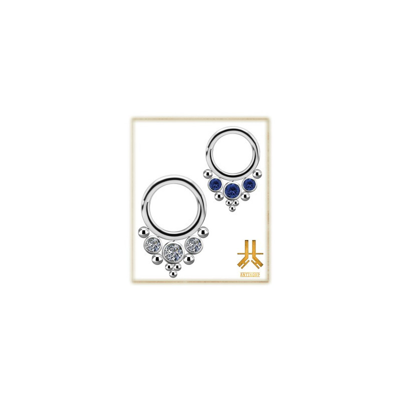 Clicker DLX Titane F136 Swarovski n01