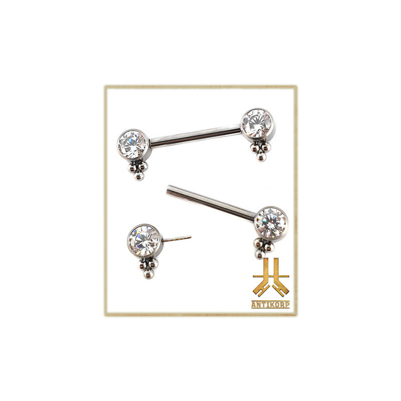 Barbell Téton Titane F136 Clusters Strass