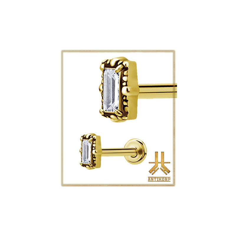 Cartilage 9 strass vissage interne