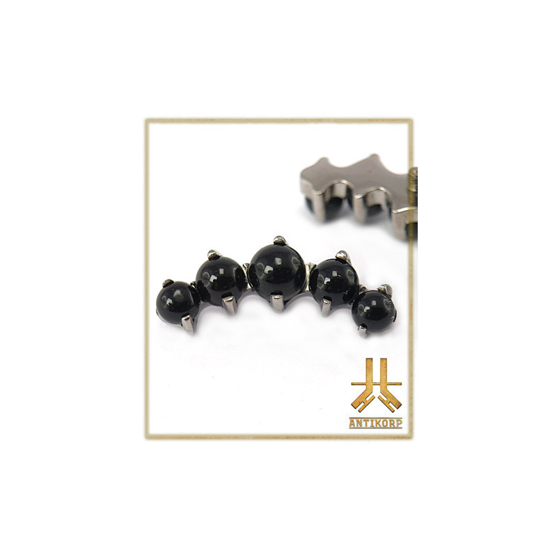 Cartilage Pierres Black Onyx Griffés Titane