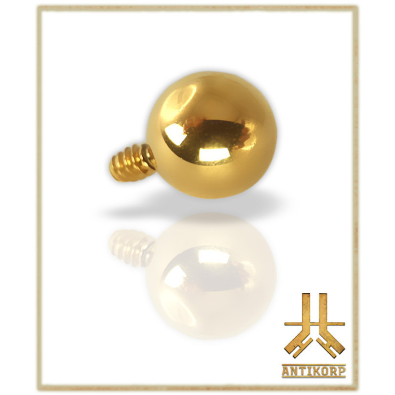 Bille Strass Titane F136 Vissage Interne