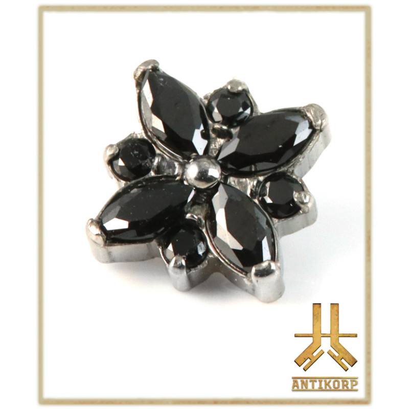 Marquise Shield Titane F136 interne