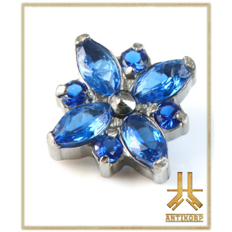 Marquise Shield Titane F136 interne