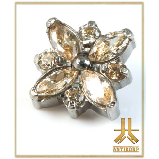 Marquise Shield Titane F136 interne