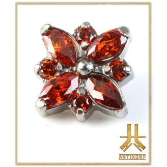 Marquise Shield Titane F136 interne