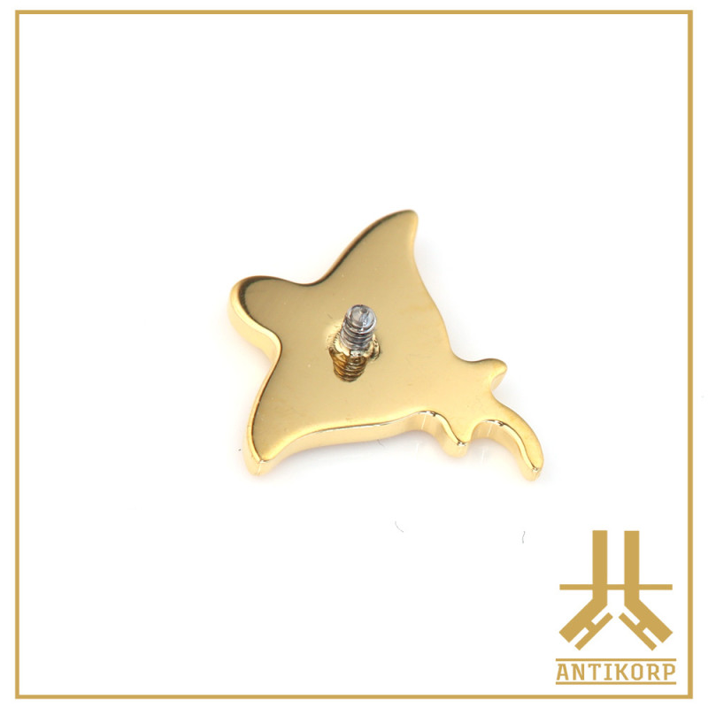 Embout Titane F136 PVD Gold Manta interne