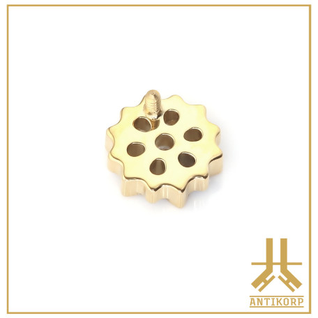Embout Titane F136 PVD Gold Hexaris interne