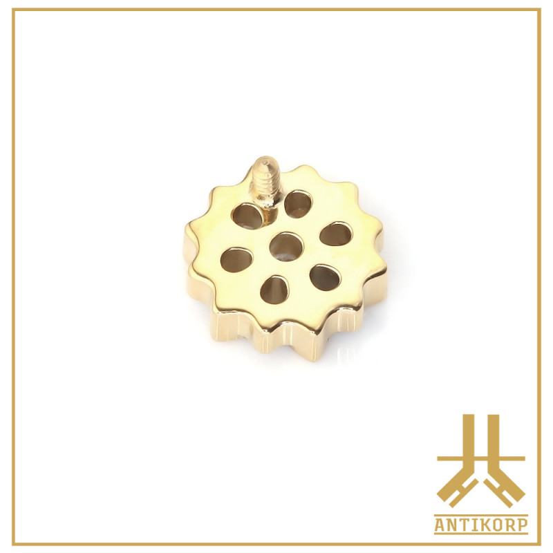 Embout Titane F136 PVD Gold Hexaris interne