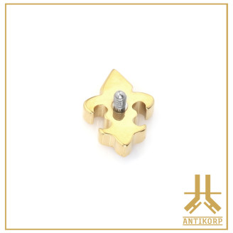 Embout Titane F136 PVD Gold Lys