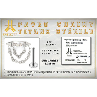 Labret Titane Stérile Paved Spiky Chain Interne
