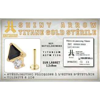 Labret Titane Gold Stérile Shiny Arrow Interne