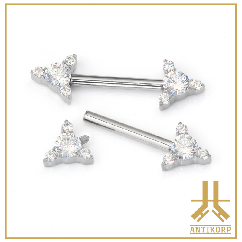 Barbell Téton Titane F136 Clusters Strass