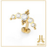 Labret Courbé Titane F136 Gold Clusty V2 1,6mm Vissage Interne