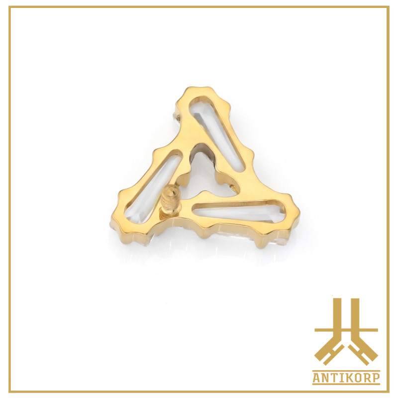Embout Titane F136 PVD Gold Delba V2