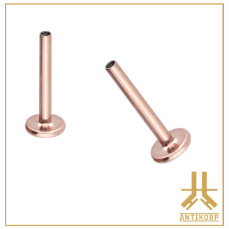 Labret Titane PVD Gold 24k Interne