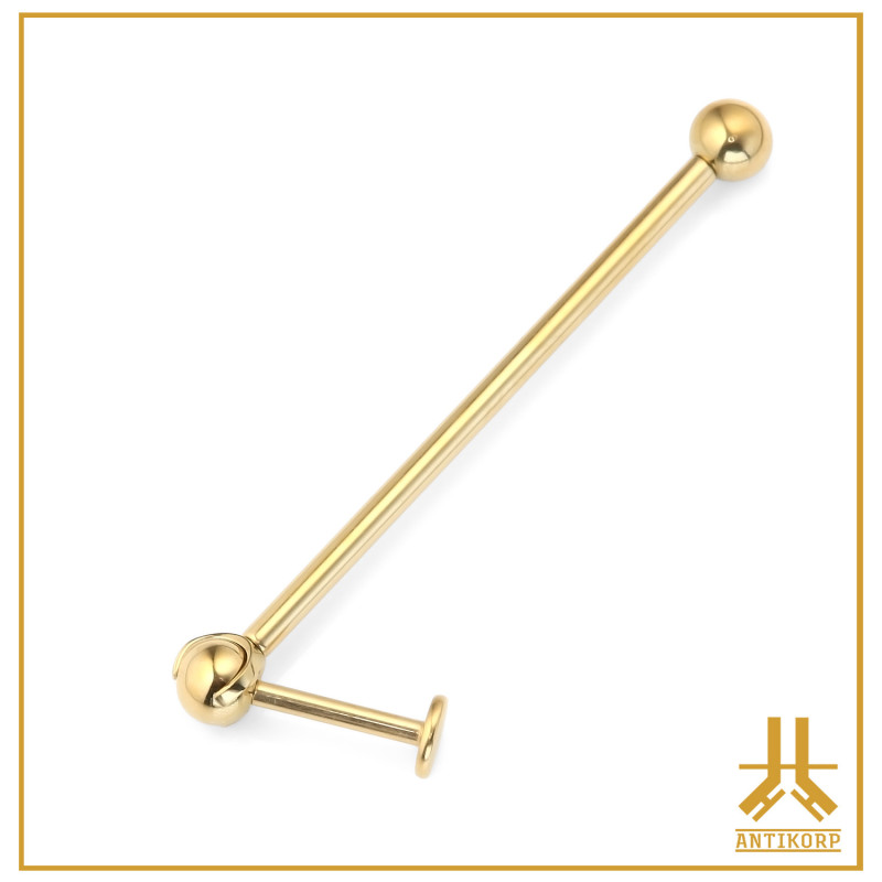 Barbell Indus Titane F136 PVD Gold Flix Lab