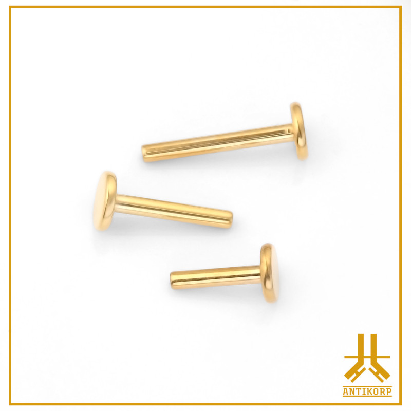 Labret Titanio PVD Oro Interno (Estándar 0.9mm)