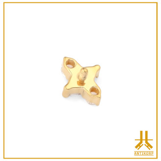 Titanium End F136 PVD Gold Tryuno