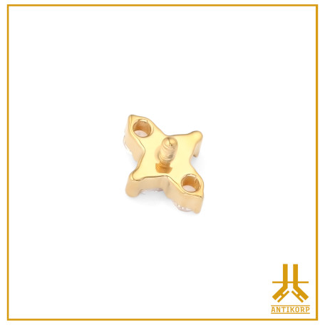 Titanium End F136 PVD Gold Tryuno