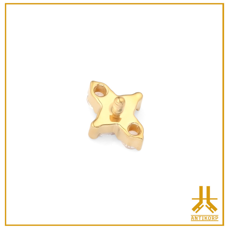Titanium End F136 PVD Gold Tryuno