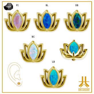 CoCr PVD Oro Punta Lotus Opale (0,8 interno)