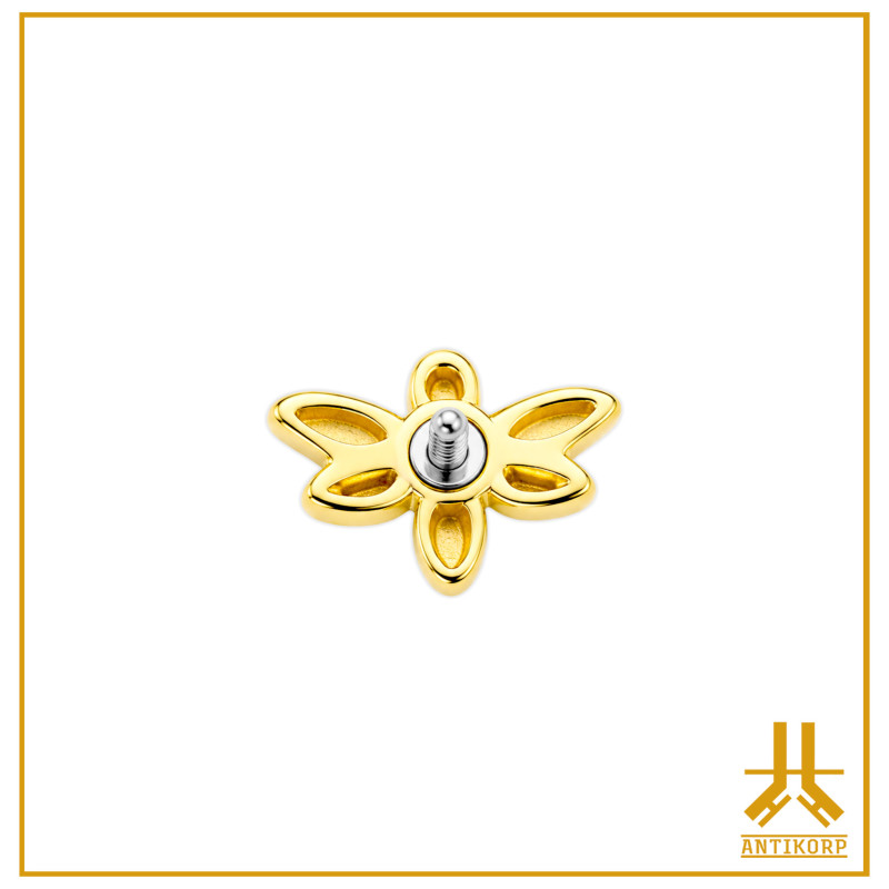 End Libellule Strass 14K Gold Internal screwing
