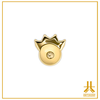 Cabeza Garra Joyada Oro 18K