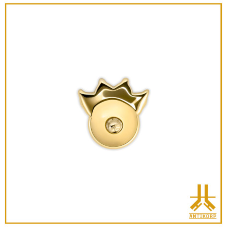Cabeza Garra Joyada Oro 18K