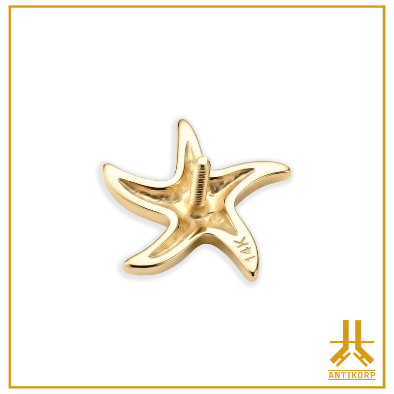 Destornillador interno Starfish 14K Gold Strass End Cap