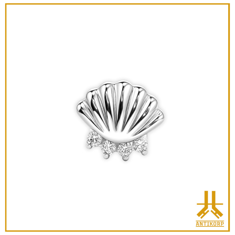 Titanium End F136 Shell Scallop