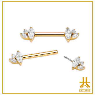 Barbell Téton Titane F136 Clusters Strass